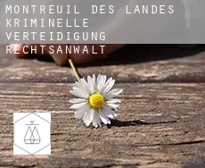 Montreuil-des-Landes  kriminelle verteidigung rechtsanwalt