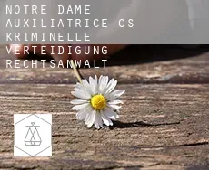 Notre-Dame-Auxiliatrice (census area)  kriminelle verteidigung rechtsanwalt
