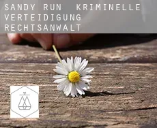 Sandy Run  kriminelle verteidigung rechtsanwalt