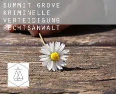 Summit Grove  kriminelle verteidigung rechtsanwalt
