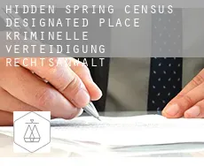 Hidden Spring  kriminelle verteidigung rechtsanwalt