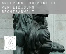 Anderson  kriminelle verteidigung rechtsanwalt