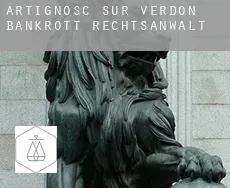 Artignosc-sur-Verdon  bankrott rechtsanwalt