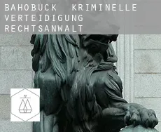Bahobuck  kriminelle verteidigung rechtsanwalt