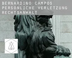 Bernardino de Campos  persönliche verletzung rechtsanwalt