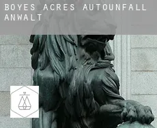 Boyes Acres Autounfall Anwalt