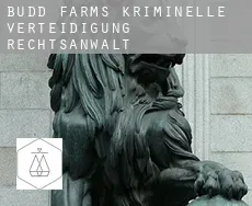 Budd Farms  kriminelle verteidigung rechtsanwalt