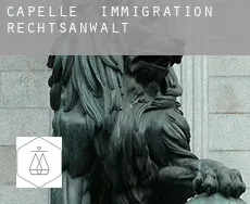 Capelle  immigration rechtsanwalt