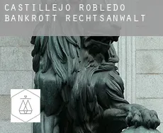 Castillejo de Robledo  bankrott rechtsanwalt