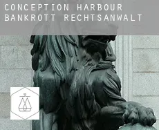 Conception Harbour  bankrott rechtsanwalt