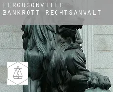 Fergusonville  bankrott rechtsanwalt