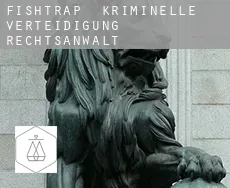Fishtrap  kriminelle verteidigung rechtsanwalt