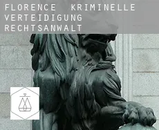 Florence  kriminelle verteidigung rechtsanwalt
