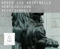 Green Sea  kriminelle verteidigung rechtsanwalt