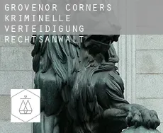 Grovenor Corners  kriminelle verteidigung rechtsanwalt