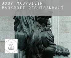 Jouy-Mauvoisin  bankrott rechtsanwalt