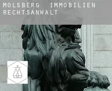 Molsberg  immobilien rechtsanwalt