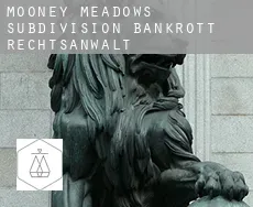 Mooney Meadows Subdivision  bankrott rechtsanwalt