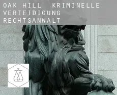 Oak Hill  kriminelle verteidigung rechtsanwalt
