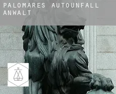 Palomares  Autounfall Anwalt