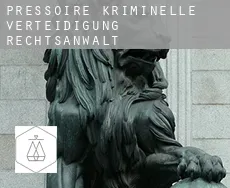 Pressoire  kriminelle verteidigung rechtsanwalt