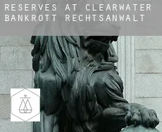Reserves at Clearwater  bankrott rechtsanwalt