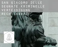 San Giacomo delle Segnate  kriminelle verteidigung rechtsanwalt