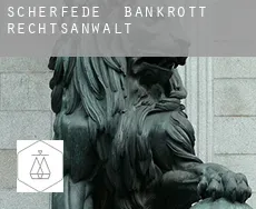 Scherfede  bankrott rechtsanwalt