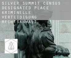 Silver Summit  kriminelle verteidigung rechtsanwalt