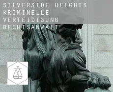 Silverside Heights  kriminelle verteidigung rechtsanwalt