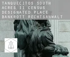 Tanquecitos South Acres II  bankrott rechtsanwalt