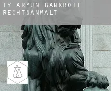 Ty-Aryun  bankrott rechtsanwalt