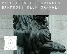 Vallières-les-Grandes bankrott rechtsanwalt