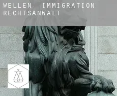 Wellen  immigration rechtsanwalt