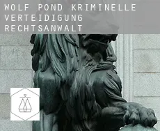 Wolf Pond  kriminelle verteidigung rechtsanwalt
