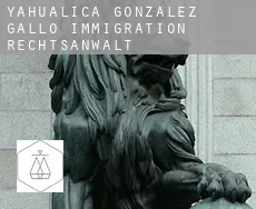 Yahualica de González Gallo immigration rechtsanwalt