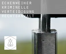 Eckenweiher  kriminelle verteidigung rechtsanwalt