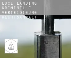 Luce Landing  kriminelle verteidigung rechtsanwalt
