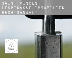 Saint-Vincent-Lespinasse  immobilien rechtsanwalt