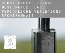 Sunny Slopes  persönliche verletzung rechtsanwalt