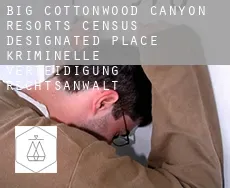 Big Cottonwood Canyon Resorts  kriminelle verteidigung rechtsanwalt