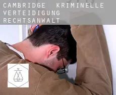 Cambridge  kriminelle verteidigung rechtsanwalt