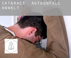 Cataract  Autounfall Anwalt