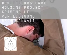 Dewittsburg Park Housing Project  kriminelle verteidigung rechtsanwalt