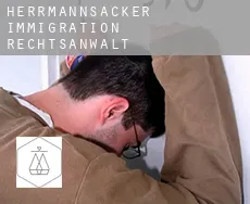 Herrmannsacker  immigration rechtsanwalt