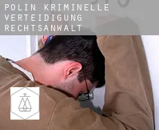 Polin kriminelle verteidigung rechtsanwalt