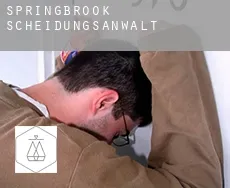 Springbrook  Scheidungsanwalt