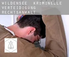 Wildensee  kriminelle verteidigung rechtsanwalt