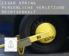 Cedar Spring  persönliche verletzung rechtsanwalt