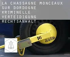La Chassagne, Monceaux-sur-Dordogne kriminelle verteidigung rechtsanwalt